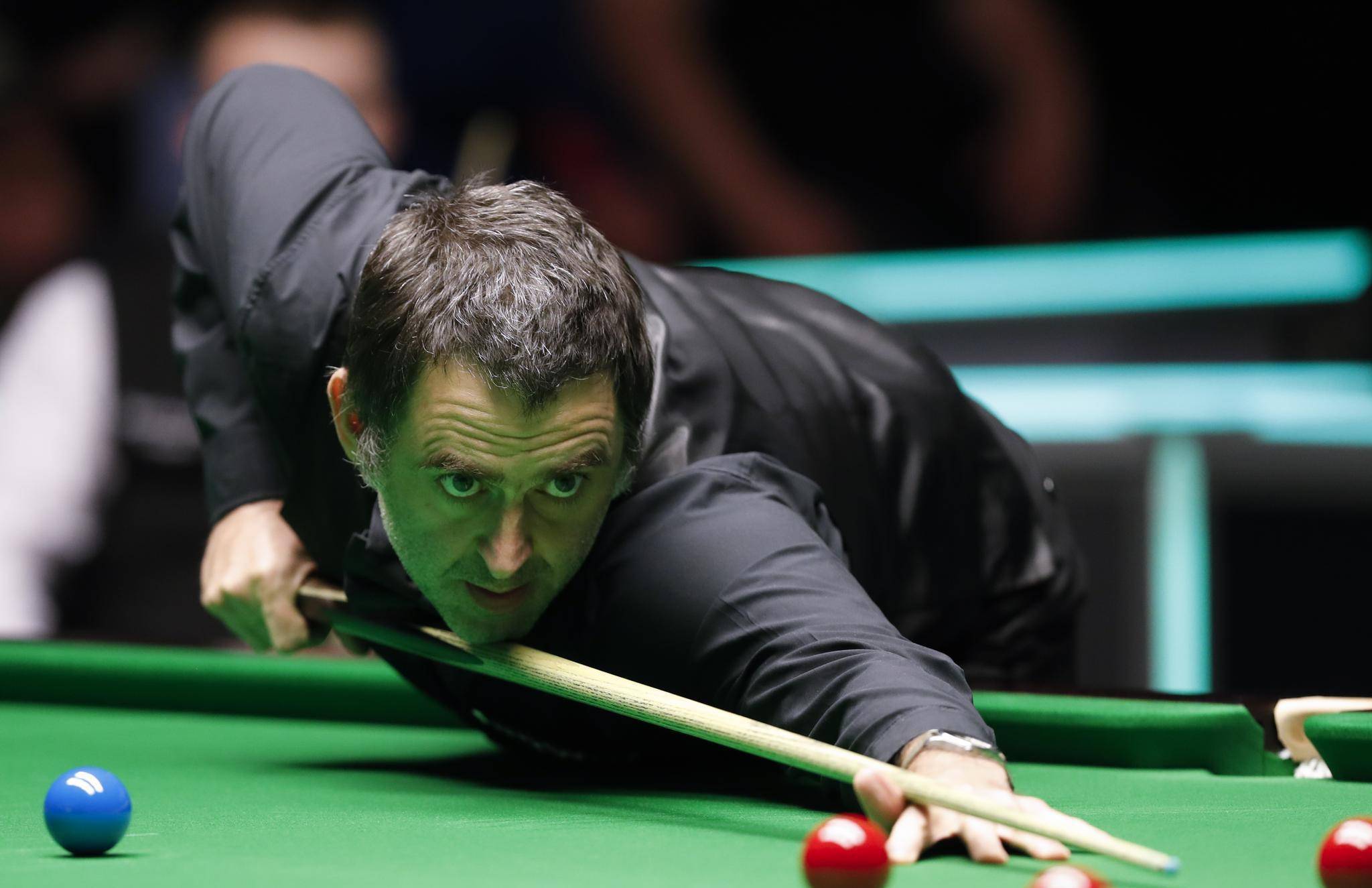 文化交流的 文化交流的