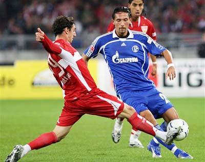 的世界里 的世界里