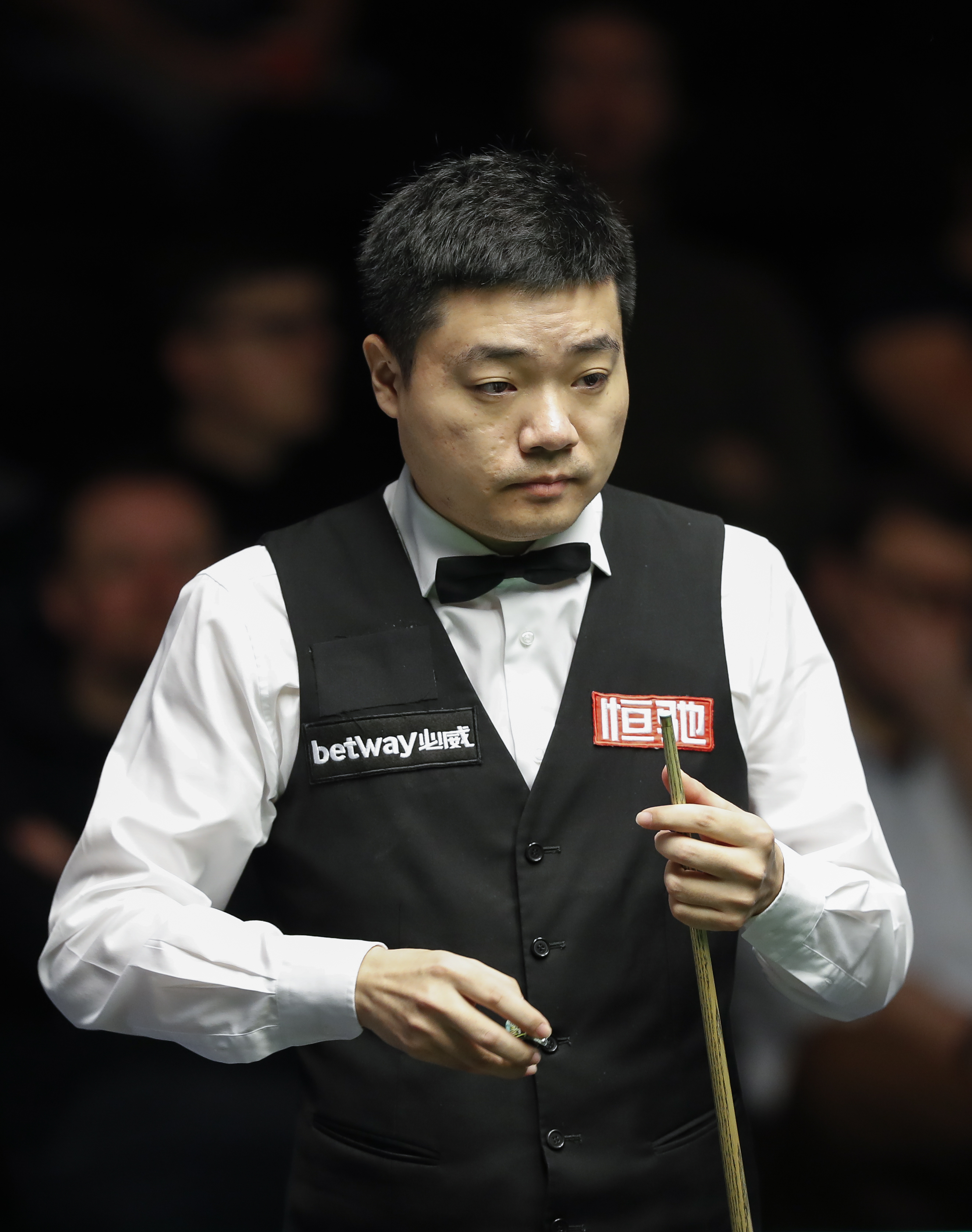 赛马的速度 赛马的速度