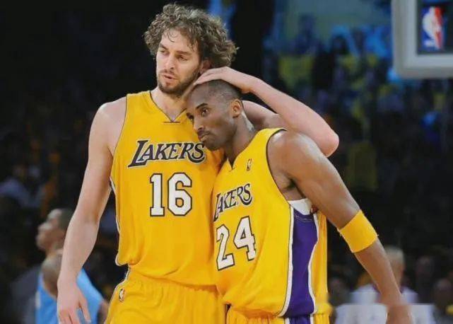 育领域展现 育领域展现